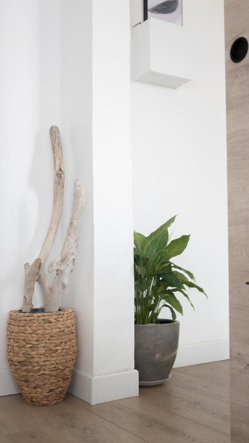 Apartament Beau Soleil By Jb L Port La Nouvelle Zewnętrze zdjęcie